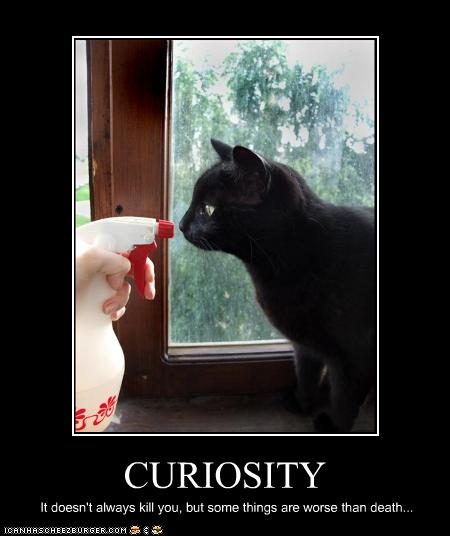 funny-pictures-mattafaran-is-curious.jpg