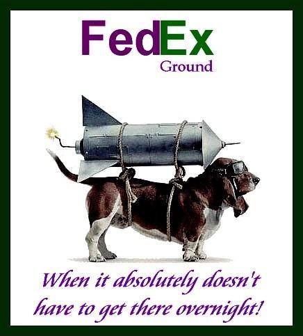 Fedex-dog-rocket-animal-humor-pic-canine-parcel-delivery-service.jpg