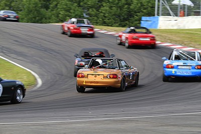 SSM-2010-Race-II-Hammarsjö.jpg